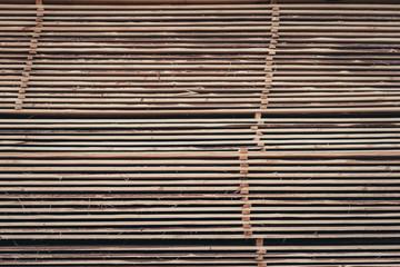 Wood and Sawmill. Large round logs harvested for construction.