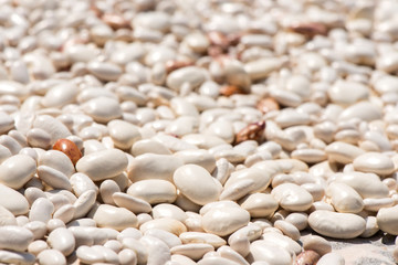 beans close-up. a lot of beans.