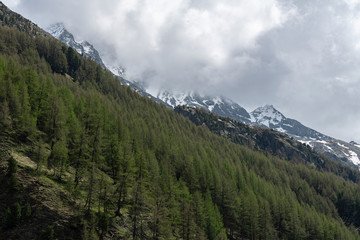 Peak of the mountains in the clouds on a background of blue sky and the green forest.