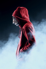 ライオンと人の合成　縦