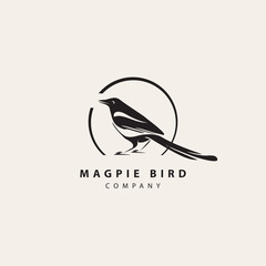 Simple modern magpie bird logo in circle frame with inscription. Animal vector icon isolated on light background, template element for web design