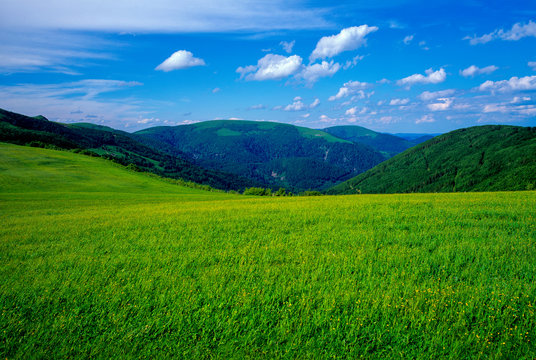 Paysage des montagnes vosgiennes au printemps en Alsace en France