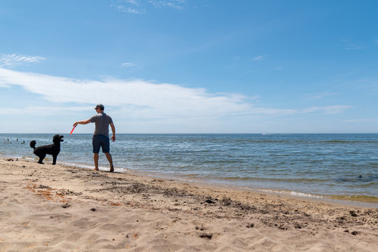 Man throwing frisbee for dog on beach