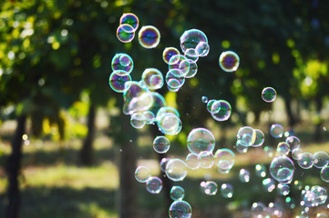 let's go back children