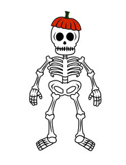 Vector illustration of a Halloween skeleton with a pumpkin hat