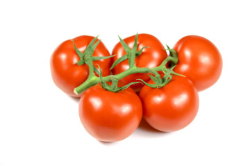 tomate en grappe sur un fond blanc