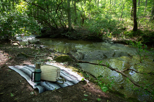 Picnic setup by creek in woods