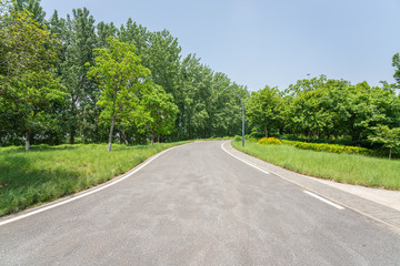 Empty road and green park