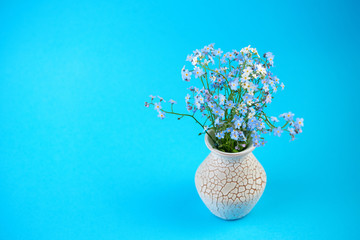 Little blue flowers in vase on colored background