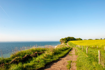 Steilküste bei Waabs/Langholz, Eckernförder Bucht, Ostsee,Halbinsel Schwansen, Schleswig-Holstein, Deutschland
