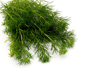 ハママーチ（リュウキュウヨモギ）