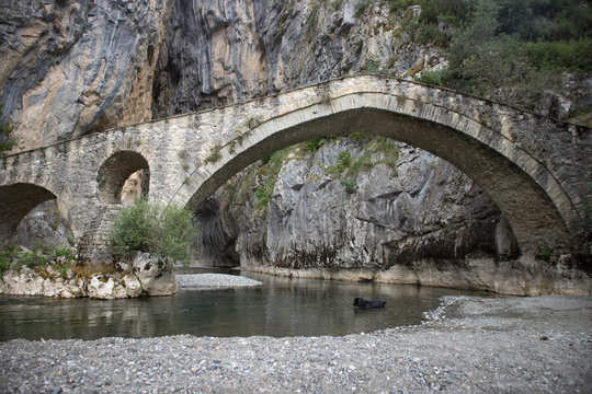 The beginning of a magnificent Gorge, with the stone bridge to appear in front. A black dog plays inside the cold river. Characterized by its high cliffs of 150-200 meters, Portitsa, Grevena, Greece.