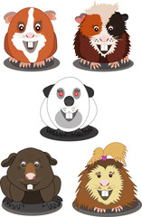 Fototapeta premium Vector illustration of funny cartoon guinea pigs of different breeds.