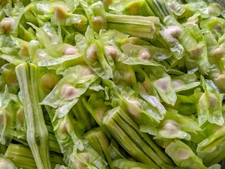 Light green moringa seeds for sour curry