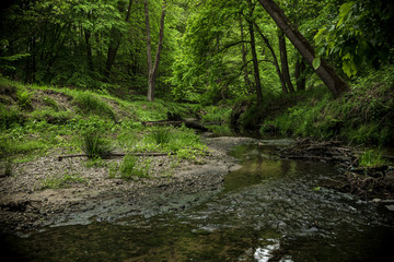 Fototapeta na wymiar Beautiful nature in the Polish Jamna River valley.