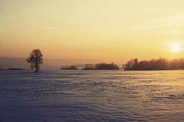 Snowy frozen landscape, lonely tree in sunny winter sunset in Siberia