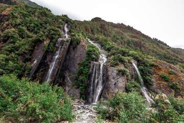 People of New Zealand