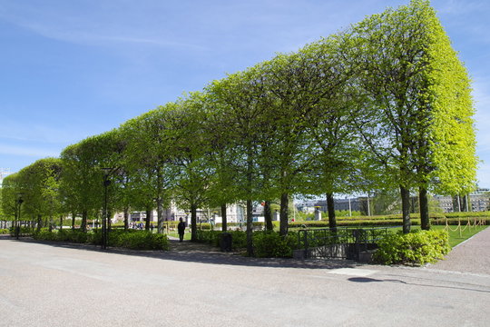 Parkanlage beim Parlamentsgeb&auml;ude-Geb&auml;ude in Stockholm. Schweden