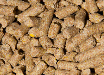 close up on animal food