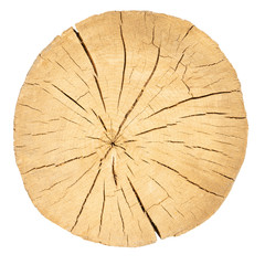 round cracked wood isolated