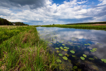 Dolina Górnej Narwi. Rzeka Narew, Podlasie, Polska