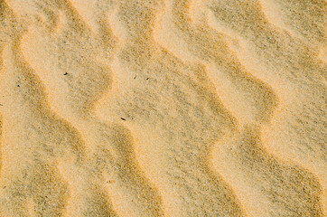 Fototapeta na wymiar Sand form at a beach, created by wind. Punta Umbría, Huelva, Andalusia, Spain, Europe