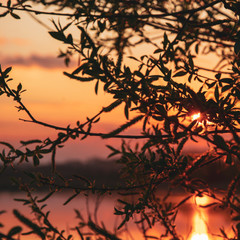 Zachód słońca nad zalewem w Brodach