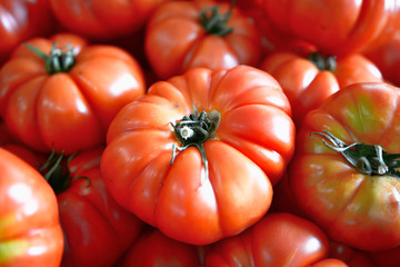 The tomato is the edible, often red berry-type fruit of the nightshade Solanum lycopersicum, commonly known as a tomato plant. Calahorra, La Rioja, Spain, Europe