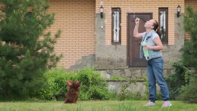 Woman playing with dog on green lawn near house. playful setter jumps behind soap bubbles trying to catch their mouth when girl blows them.