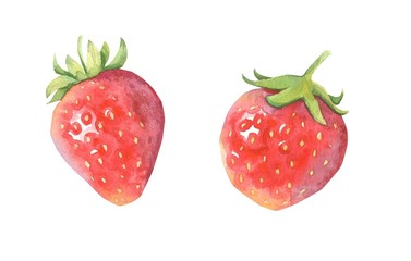 Watercolor strawberry collection on the white background. 