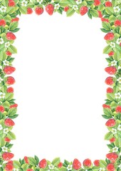 Watercolor strawberry frame isolated on the white background. Berries frame. 
