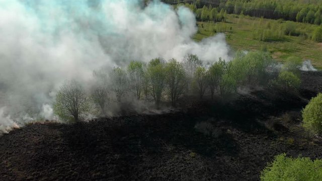 forest fire in Russia in the spring. carelessness of tourists. clouds of smoke over the trees.
