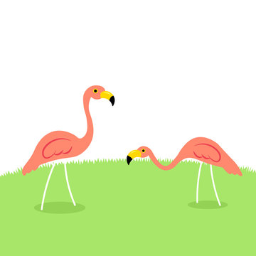 Two Lawn Flamingo Illustration. Clipart Image Isolated On White Background