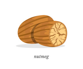 Whole nutmeg with caption flat design on white