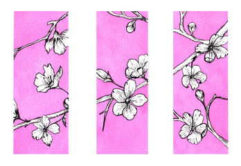 set of white pink graffic watercolor sakura flowers