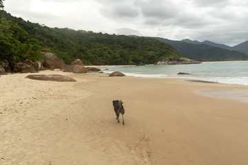 aventureiro 
ilha grande
angra dos reis 
rio de janeiro
