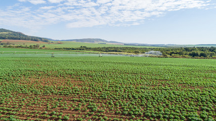 Agricultural irrigation system on sunny summer day. An aerial view of a center pivot sprinkler system.