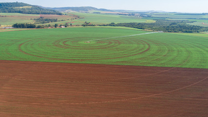 Fototapeta premium Agricultural irrigation system on sunny summer day. An aerial view of a center pivot sprinkler system.