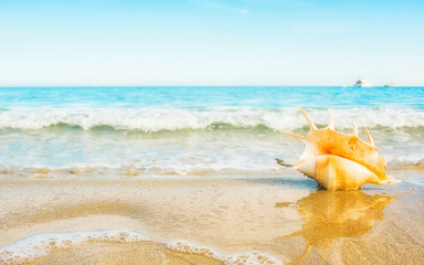 Obraz na płótnie Canvas Summer sea background