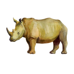 Obraz premium Watercolor illustration, rhino. Isolated freehand drawing of a rhino on a white background.