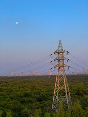 Electricity Tower in the middle of the jungle.