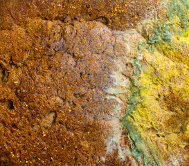 Texture with mold on bread