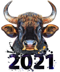 Watercolor illustration of a black powerful bull with number 2021