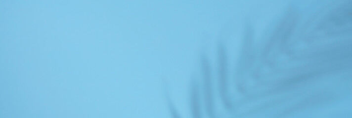 Abstract background of shadows palm leaves on a blue background.