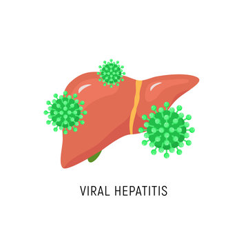 Viral Hepatitis Cartoon Liver Diagram. Hepatic Virus C Failure Hcv Vector Sign