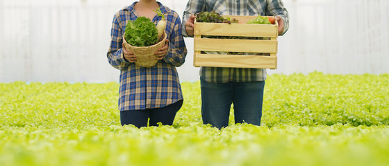 Farmer delivery vegetable in hydroponic farm for food supply chain business