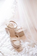 Wedding Formal Shoes for Bride and Groom