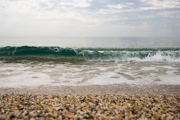 Wave