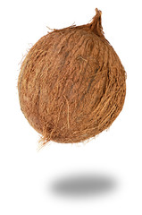 Fresh coconut isolated on white background, close up clipping object