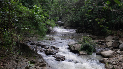 River and tropical vegetation at Puganyo Petrified Forest, Ecuador